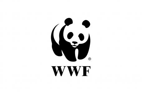 WWF logo