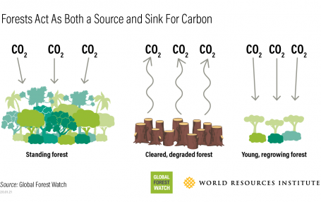 20 01 21 Carbon Flux v2 Graphic 1.png