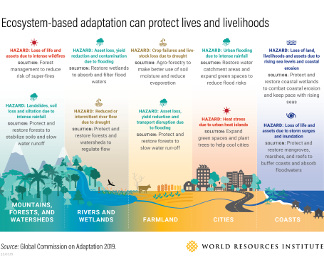 An illustration of how ecosystem-based adaption can protect lives and livelihoods.