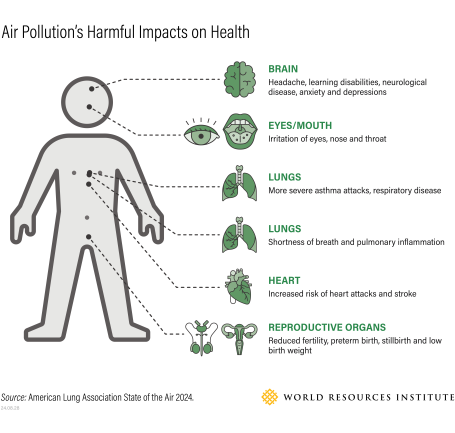 Air Pollution's Harmful Impacts on Health