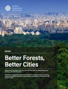 Cover image.