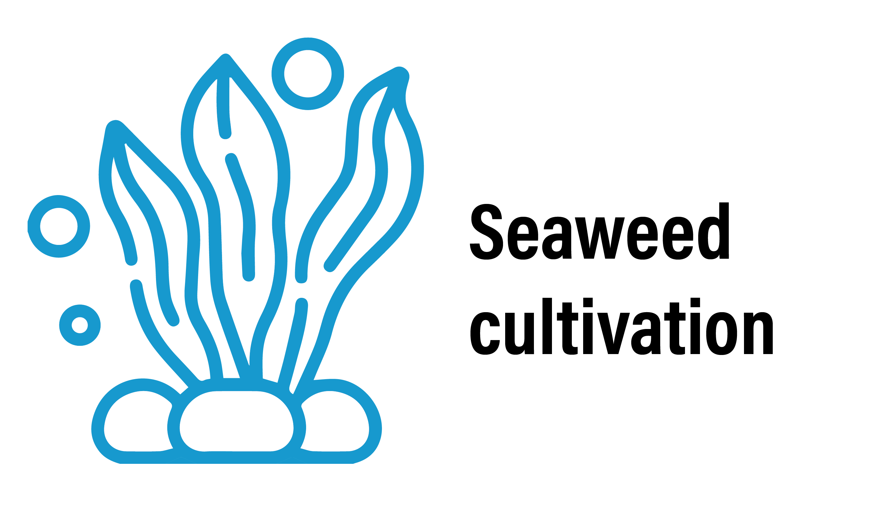 seaweed and rocks icon