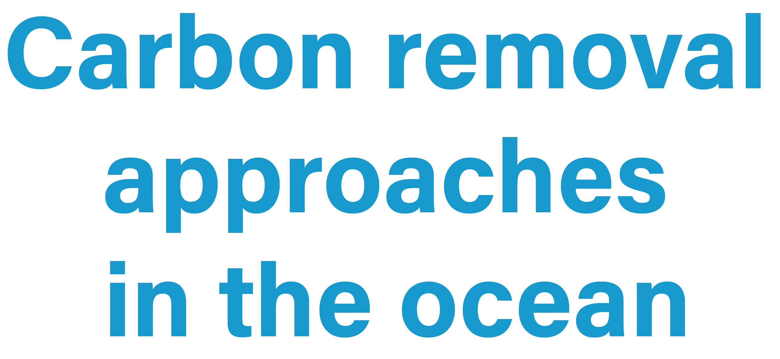 carbon removal approaches in the ocean