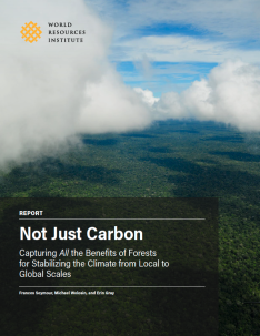 Report cover image.