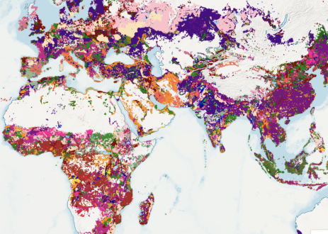 Global Irrigated & Rainfed Crop Producing Areas by Crop Type