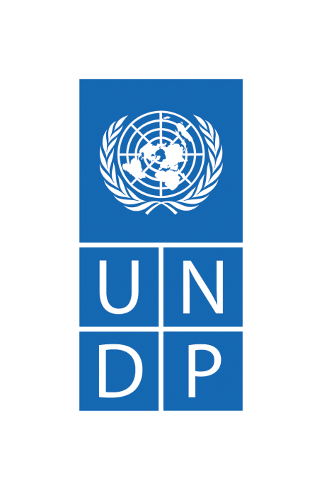 UNDP logo